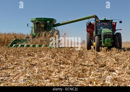 La maturité de récolte moissonneuse-batteuse John Deere champ de maïs. Banque D'Images