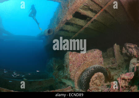 Freediver sur naufrage SS Thistlegorm (British Armed Merchant Navy Ship), Red Sea, Egypt Banque D'Images