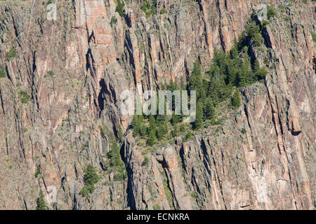 Parc National Black Canyon of the Gunnison dans l'ouest du Colorado Banque D'Images