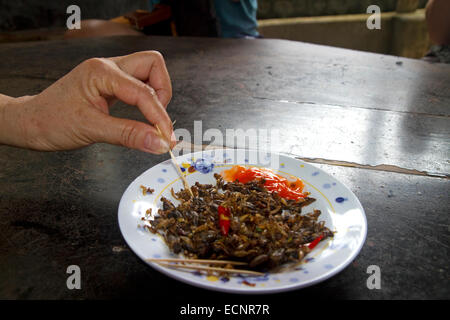 Les touristes à manger de grillons ferme dans la province de Lam Dong, au Vietnam. Banque D'Images