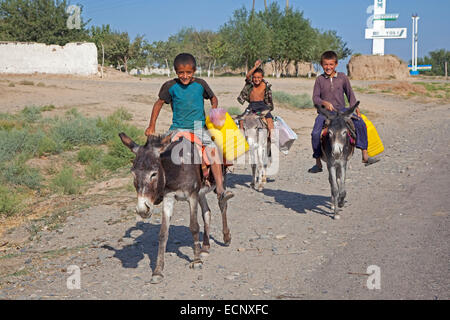 Trois enfants équitation les ânes avec les récipients en plastique pour recueillir de l'eau, Samarkand, Ouzbékistan Banque D'Images