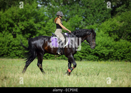 Jeune fille à cheval son cheval de selle à Riga, Lettonie Banque D'Images