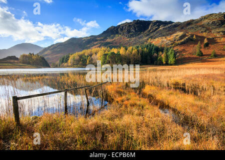 Blea Tarn dans le Parc National de Lake District avec Blake Rigg au loin. Banque D'Images