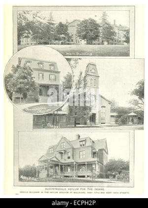 Une illustration de 1893 de *King* représentant le Bloomingdale Asylum for the Insane, situé à New York. Le dessin met en évidence le style architectural et la fonction de l'établissement de santé mentale à la fin du XIXe siècle. Banque D'Images