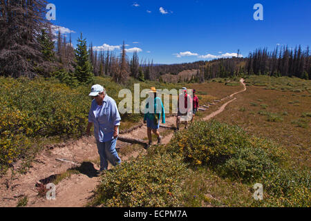 Randonnées sur la LIGNE CONTINENTALE DE PARTAGE DE LOBO, l'altitude du point 7060 pieds - Colorado Rockies Banque D'Images