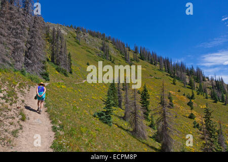 Un randonneur marchant près de Lobo, altitude 7060 pieds POINT, sur la ligne continentale de partage - LE SUD DU COLORADO MR Banque D'Images