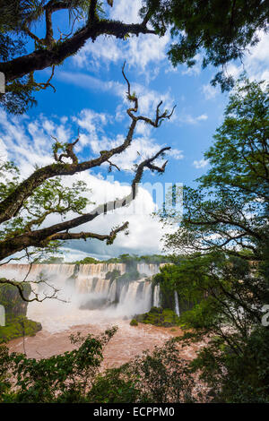Iguazu Falls, chutes d'Iguazú, chutes d'Iguaçu ou chutes d'Iguaçu sont les cascades de la rivière Iguazu à la frontière de la prov Banque D'Images