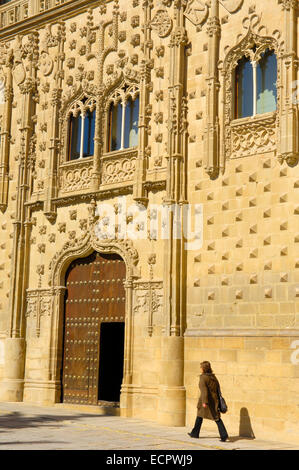 Le Palais de Jabalquinto, 16e siècle, Baeza, Jaén province, Andalusia, Spain, Europe Banque D'Images