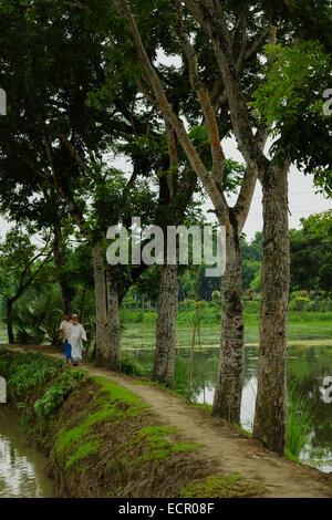 Deux hommes marchant sur un chemin entre les lacs, village au Bangladesh Banque D'Images