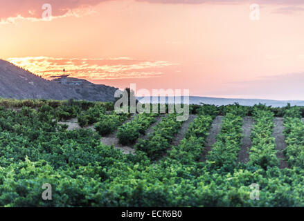 Vignobles de Briones, La Rioja, Alava, Pays Basque, Espagne Banque D'Images