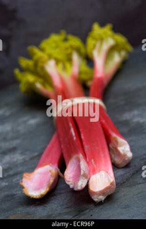 Rhubarbe fraîche lié en bottes et dans un panier trug. Tarte aux légumes Aliments rouge souvent utilisé dans les charlottes etc.une croix au Royaume-Uni Banque D'Images