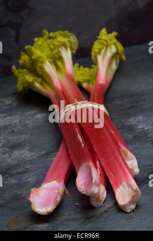 Rhubarbe fraîche lié en bottes et dans un panier trug. Tarte aux légumes Aliments rouge souvent utilisé dans les charlottes etc.une croix au Royaume-Uni Banque D'Images