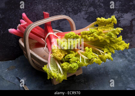 Rhubarbe fraîche lié en bottes et dans un panier trug. Tarte aux légumes Aliments rouge souvent utilisé dans les charlottes etc.une croix au Royaume-Uni Banque D'Images