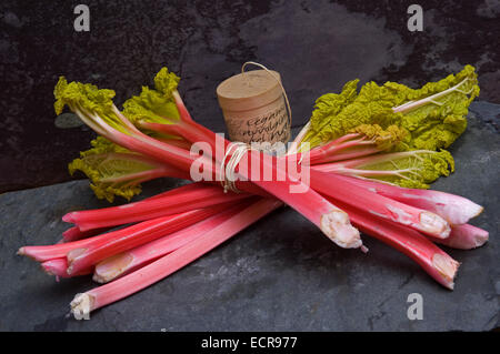 Rhubarbe fraîche lié en bottes et dans un panier trug. Tarte aux légumes Aliments rouge souvent utilisé dans les charlottes etc.une croix au Royaume-Uni Banque D'Images