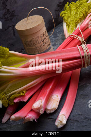 Rhubarbe fraîche lié en bottes et dans un panier trug. Tarte aux légumes Aliments rouge souvent utilisé dans les charlottes etc.une croix au Royaume-Uni Banque D'Images