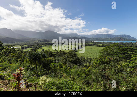 Point de vue panoramique sur la rive est de l'île du Pacifique de Kauai. Banque D'Images