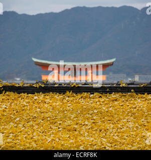 Feuilles de ginkgo japonais sur le toit d'un temple à Miyajima, Japon. Banque D'Images