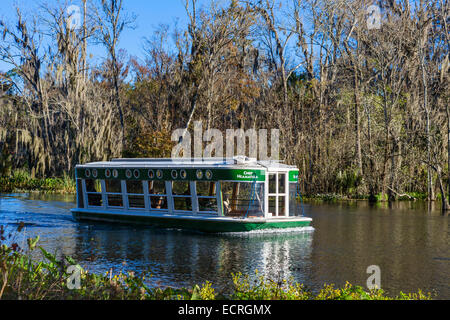 Sortie en bateau à fond de verre sur la rivière d'argent de Silver Springs State Park, près de Ocala, Marion County, Floride, États-Unis Banque D'Images