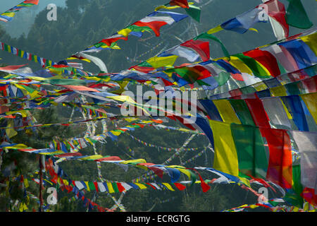 Les drapeaux de prières à Namo Bouddha culte sur le haut d'une colline à 1982 mètres important site de pèlerinage bouddhiste près de Panauti Népal Banque D'Images