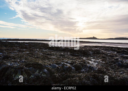 Plage basse Newton au lever du soleil, Northumberland, Angleterre, avec Château de Dunstanburgh derrière. Banque D'Images