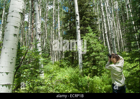 Photograhing femme mature tremble forêt Banque D'Images