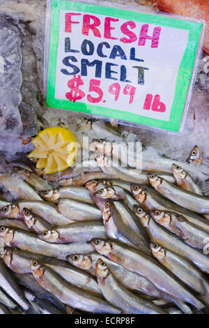 L'éperlan frais locaux. Le Pike Place Market, Seattle, Washington, USA. Banque D'Images