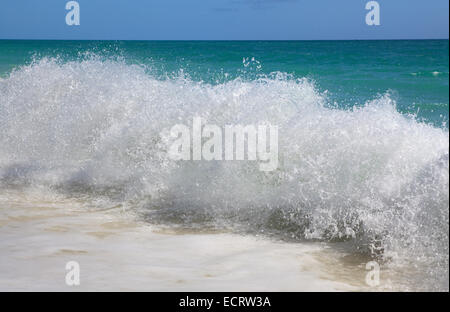 Vagues de la mer des Caraïbes. Playa Los Cocos. Cayo Largo. Cuba. Banque D'Images