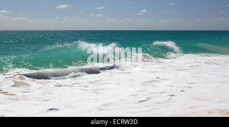 Animation de la mer des Caraïbes. Playa Los Cocos. Cayo Largo. Cuba. Banque D'Images