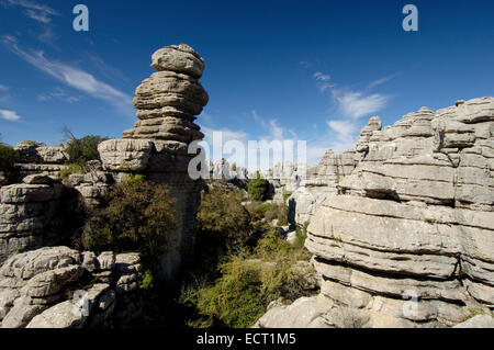 Groupe de travail sur l'érosion des calcaires du Jurassique, Torcal de Antequera, province de Málaga, Andalousie, Espagne, Europe Banque D'Images