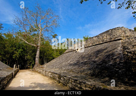 Ball, ruines Maya de Coba, l'état de Quintana Roo, Riviera Maya, péninsule du Yucatan, Mexique Banque D'Images