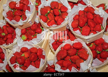 De barquettes de fraises à vendre Sanary sur Mer Provence France Banque D'Images