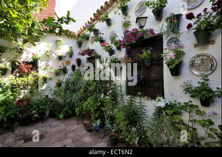 Cour intérieure pendant le Festival des patios (el Festival de Los Patios Cordobeses), Cordoue, Espagne Banque D'Images