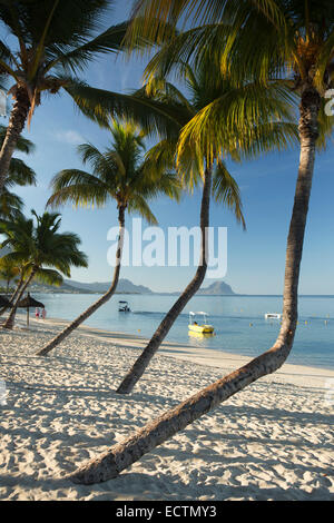 L'Ile Maurice, Flic en Flac, Sugar Beach Hotel, couple qui marche tôt le matin sur la plage idyllique Banque D'Images