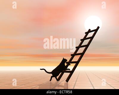 Silhouette de chat noir à marcher vers l'escalier menant au soleil Banque D'Images