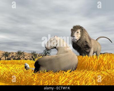 Lionne couchée paisiblement sur l'herbe à côté de lion par temps nuageux à savannah Banque D'Images