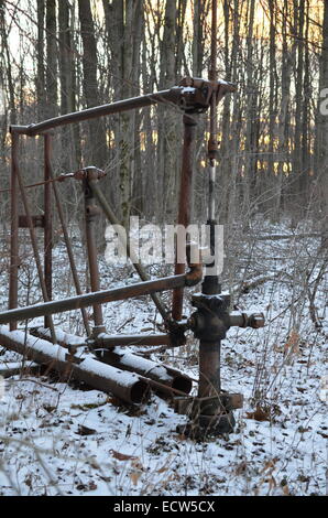 Pipeline pour l'huile dans les bois Banque D'Images