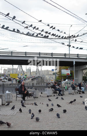 Les hommes assis à l'extérieur de la station de métro Park Kultury entouré par les pigeons Banque D'Images