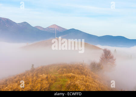 La végétation de montagne d'été et inhabituellement modeste de belles couleurs fleurit à l'automne, avant que le temps froid. Banque D'Images