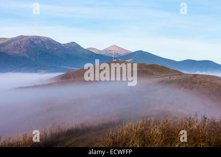 La végétation de montagne d'été et inhabituellement modeste de belles couleurs fleurit à l'automne, avant que le temps froid. Banque D'Images