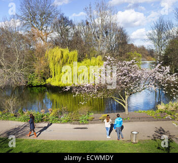 Dans St James's Park Londres Banque D'Images