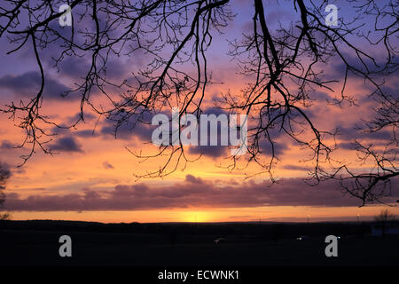 Epsom Downs, Surrey, UK. 20 décembre 2014. À la veille du solstice d'hiver un spectaculaire coucher de soleil remplit le ciel avec orange, l'or et les tons de bleu comme on le voit ici dans la campagne du Surrey. Credit : Julia Gavin UK/Alamy Live News Banque D'Images