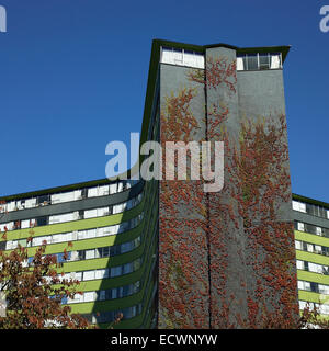 Appartement rétro complexe avec mur de vigne Banque D'Images