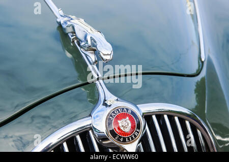 2 voiture de marque Jaguar 1960 stationné à Eastbourne East Sussex England Royaume-Uni UK Banque D'Images