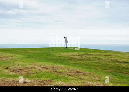 Homme regardant Compass Rose on Beachy Head près d'Eastbourne, South Downs Way, South Downs National Park, East Sussex Angleterre Royaume-Uni Banque D'Images