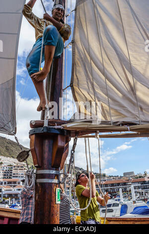 Tenerife - Flipper Uno 'bateau pirate' excursion touristique, l'observation des dauphins, à Masca Bay de Los Gigantes. Banque D'Images