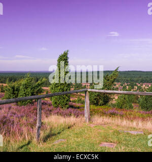 Vue depuis une colline à Lueneburg Heath un jour d'été Banque D'Images