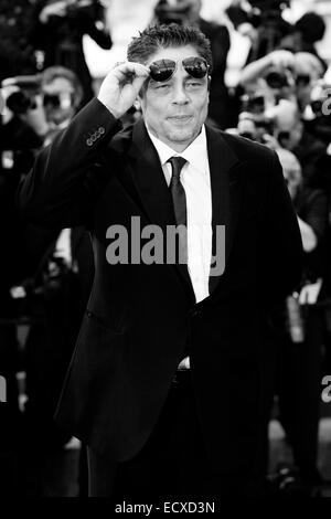 CANNES, FRANCE - 14 mai : l'Acteur Benicio Del Toro assiste à la première de "Wall Street : l'argent ne dort jamais" pendant la 63e Cannes Banque D'Images