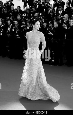 CANNES, FRANCE - 25 mai : l'actrice Zhang Ziyi arrive à 'Venus In Fur' Premiere pendant le 66e Festival de Cannes le 25 mai 2 Banque D'Images