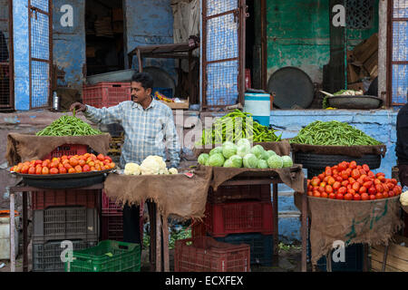 Marché aux légumes stall, Jodhpur, Inde Banque D'Images