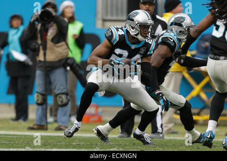 Charlotte, NC, USA. Dec 21, 2014. Carolina Panthers Josh évoluait Norman # 24 intercepte une passe par Cleveland Browns quarterback Brian Hoyer n° 6 au stade Bank of America le 21 décembre 2014, à Charlotte, NC. Les Panthère défait les Browns 17-14. Margaret Bowles/CSM/Alamy Live News Banque D'Images